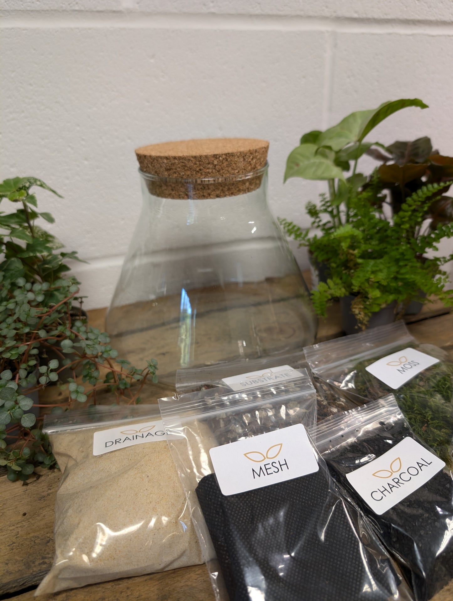 DIY Terrarium Kit - 'Eric'