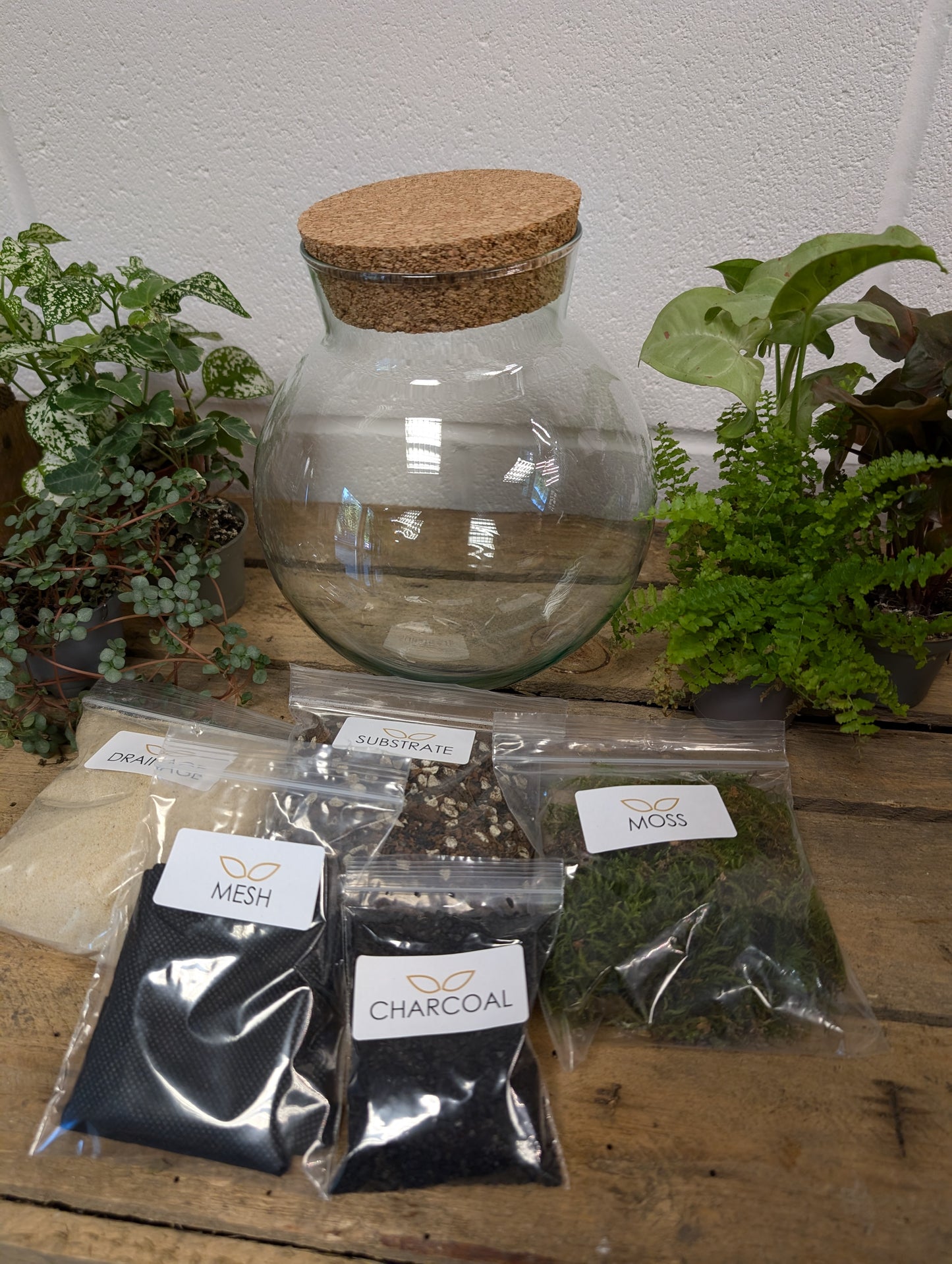 DIY Terrarium Kit - 'Freya'