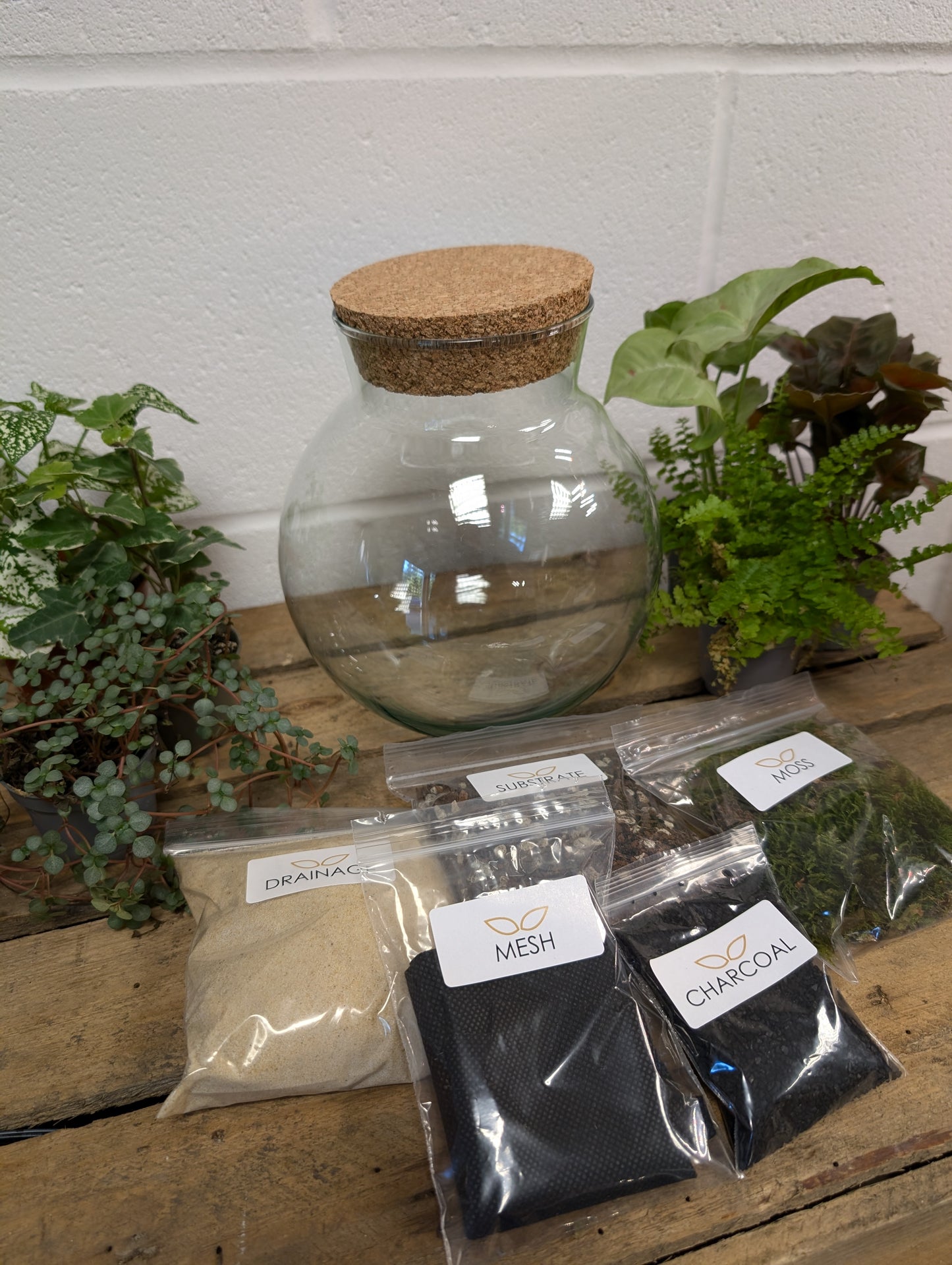 DIY Terrarium Kit - 'Freya'