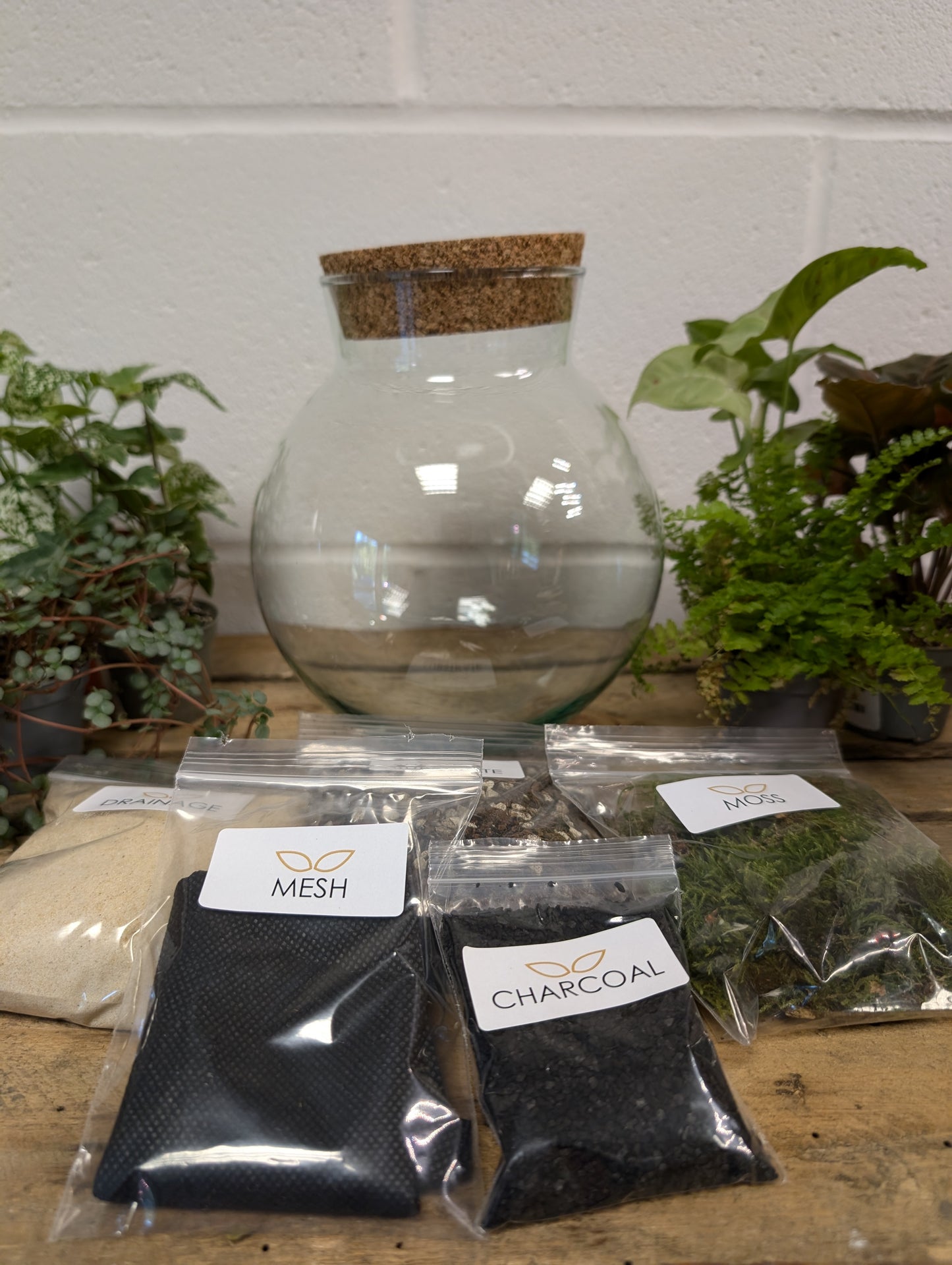 DIY Terrarium Kit - 'Freya'