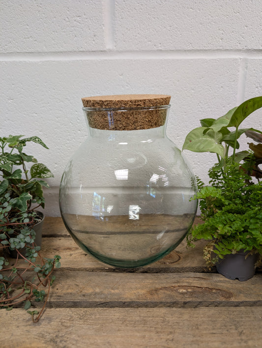 DIY Terrarium Kit - 'Freya'