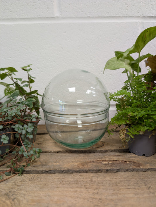 DIY Terrarium Kit - 'Keith'