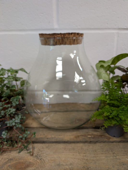 DIY Terrarium Kit - 'Tyler'