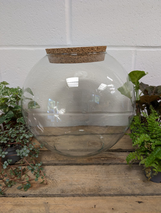 DIY Terrarium Kit - 'Sarah'