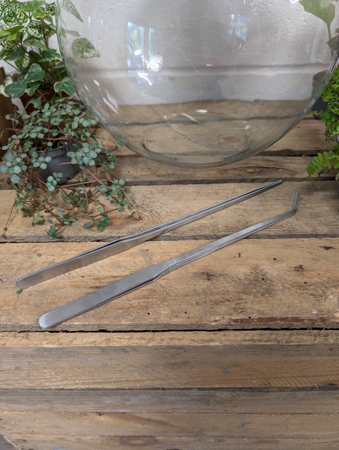 Terrarium Tweezers