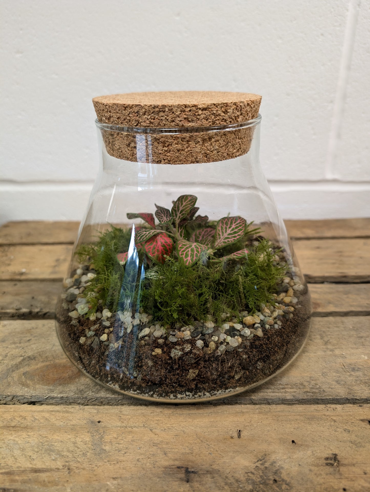 Medium Ready-made Terrarium - 'Vivienne'