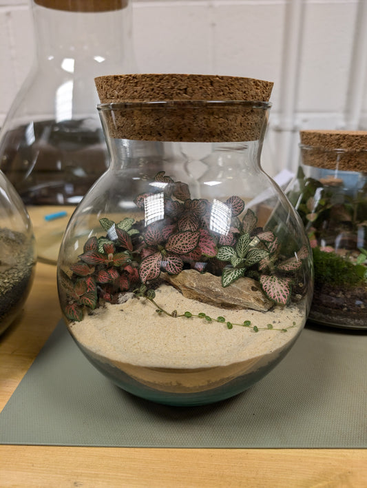 Tiktok LIVE special - Linzi