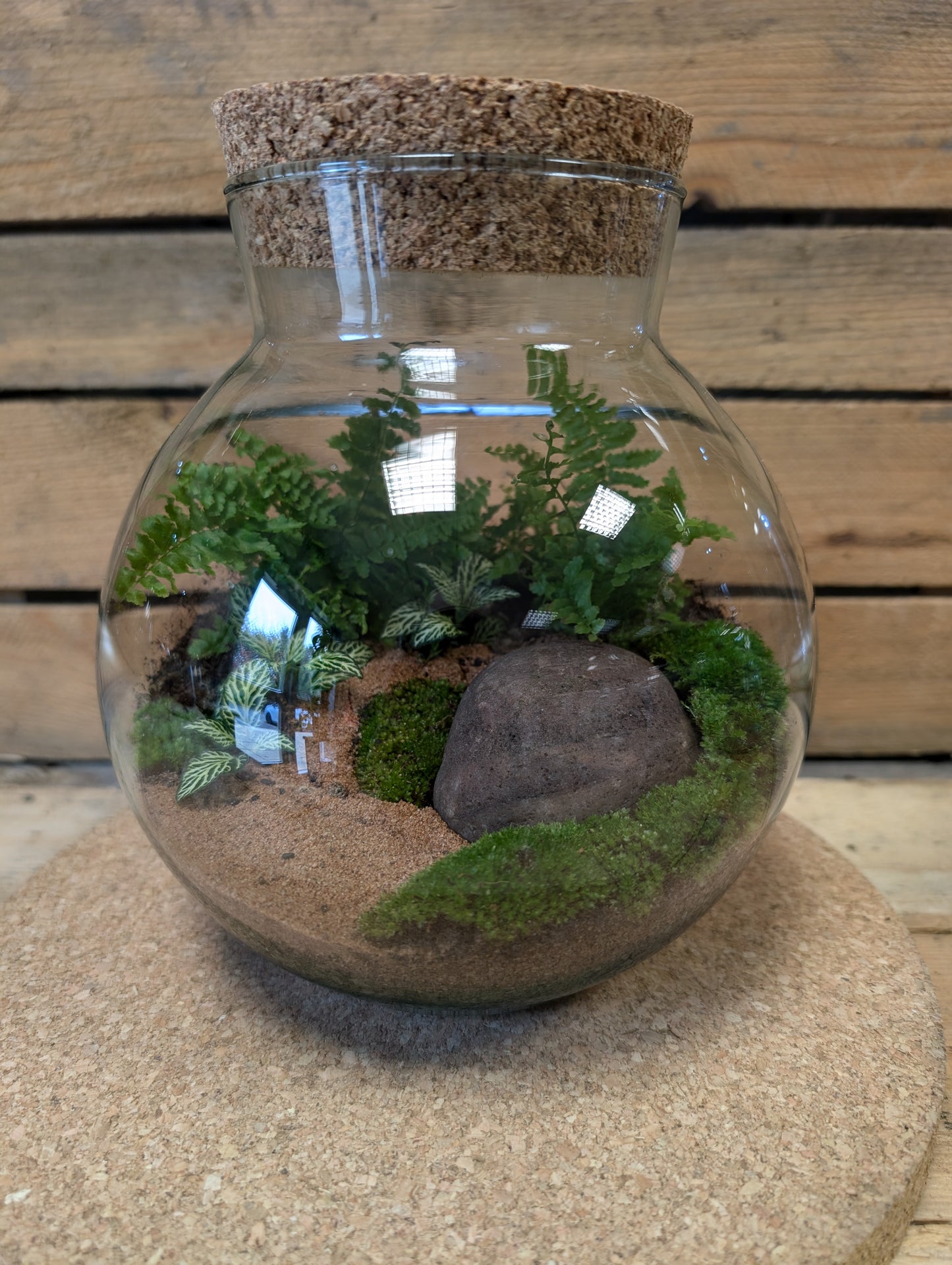 Medium Ready-made Terrarium - 'Courtney'