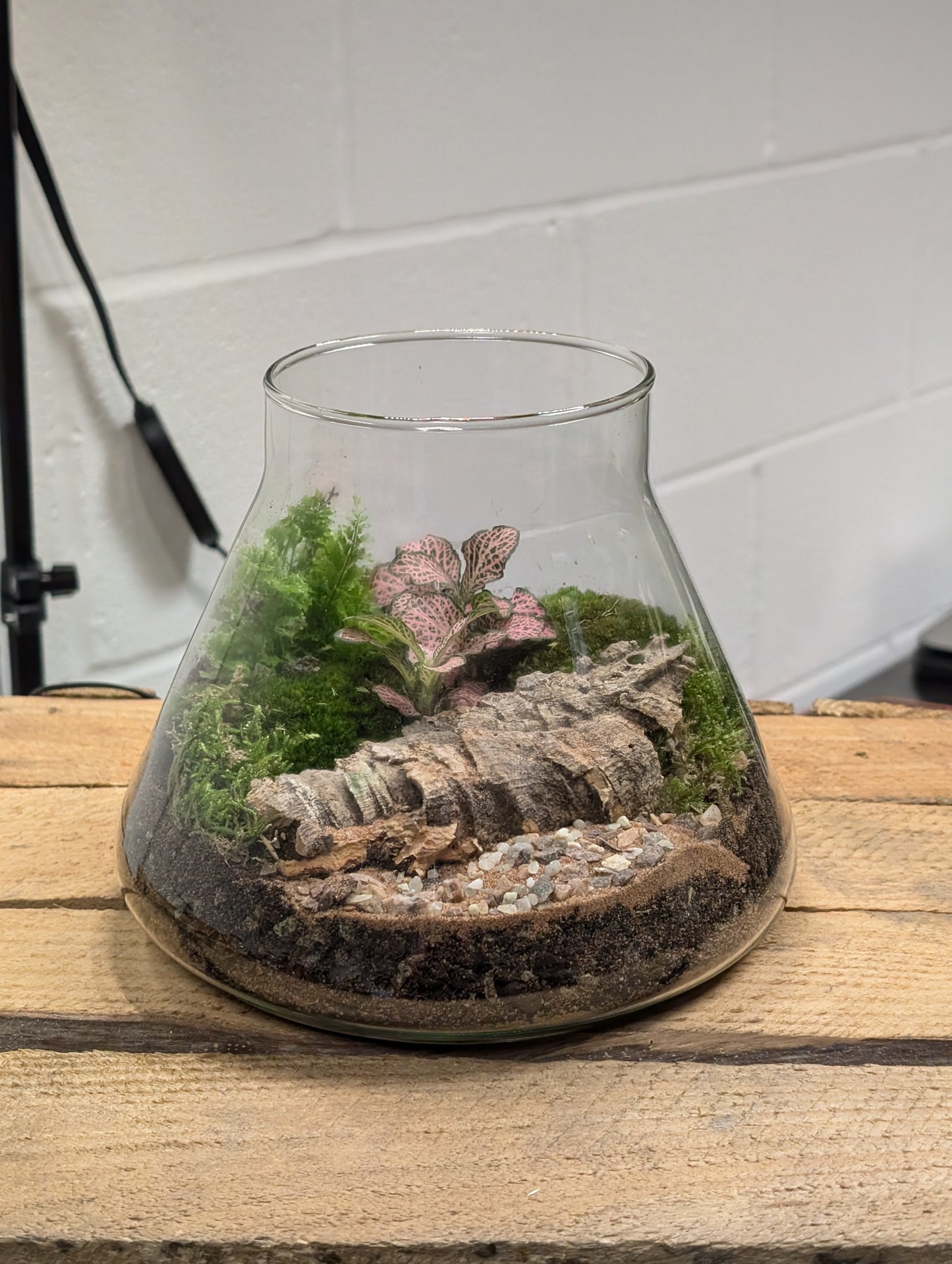 Medium Ready-made Terrarium - 'Geraldine'