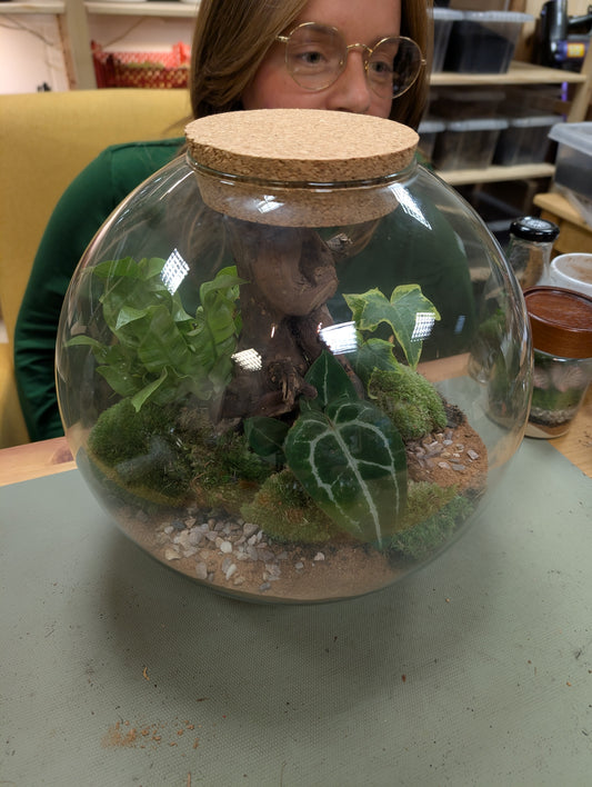 Large Ready-made Terrarium - 'Dawn'