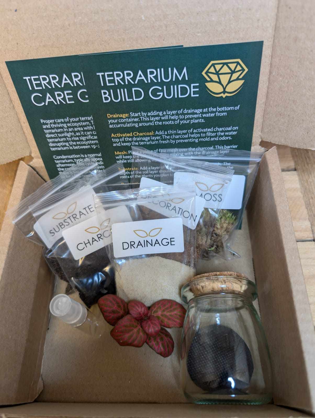 DIY Terrarium Kit - Mini Jar