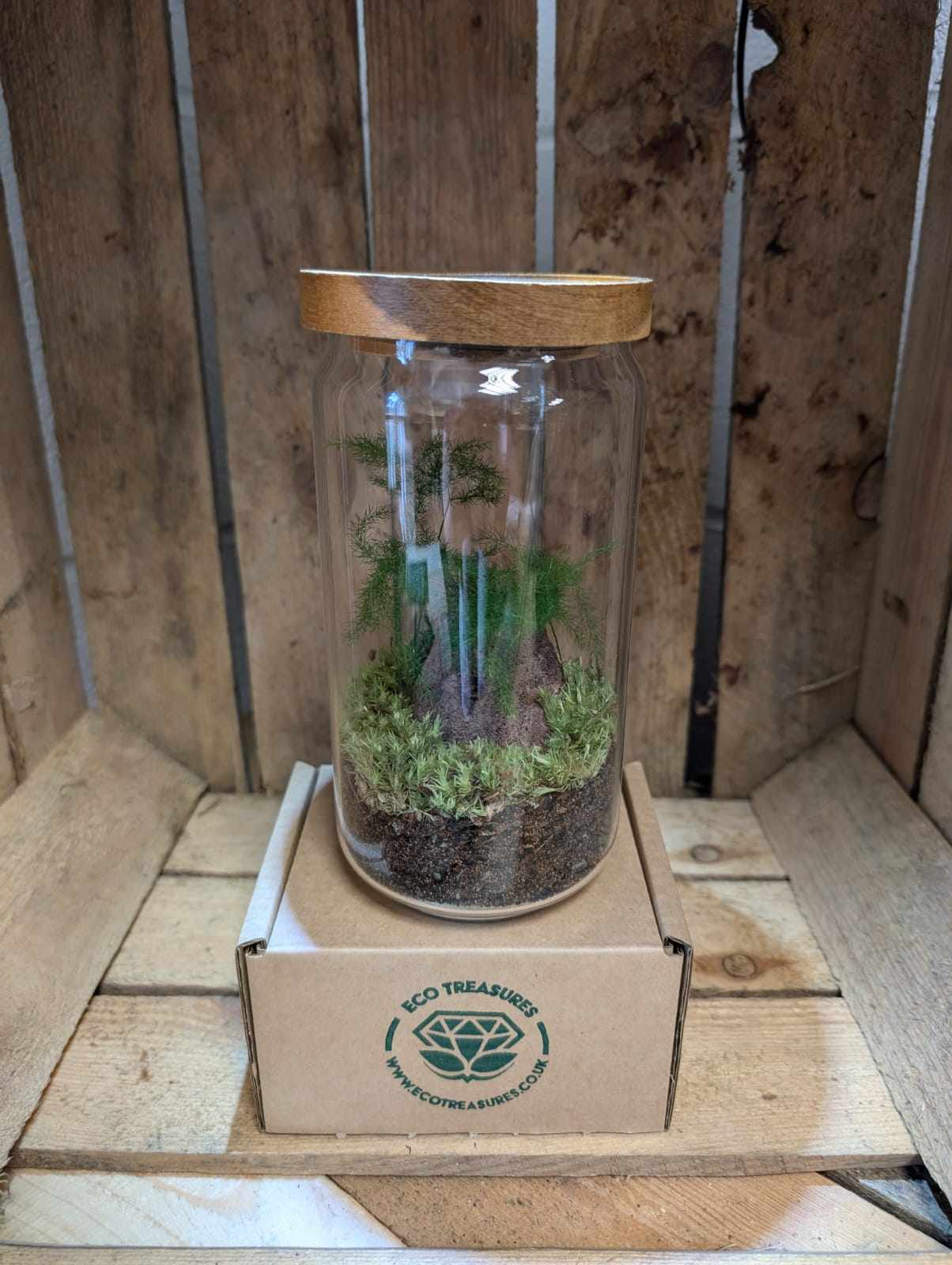 Medium Ready-made Terrarium - 'Lindsay'