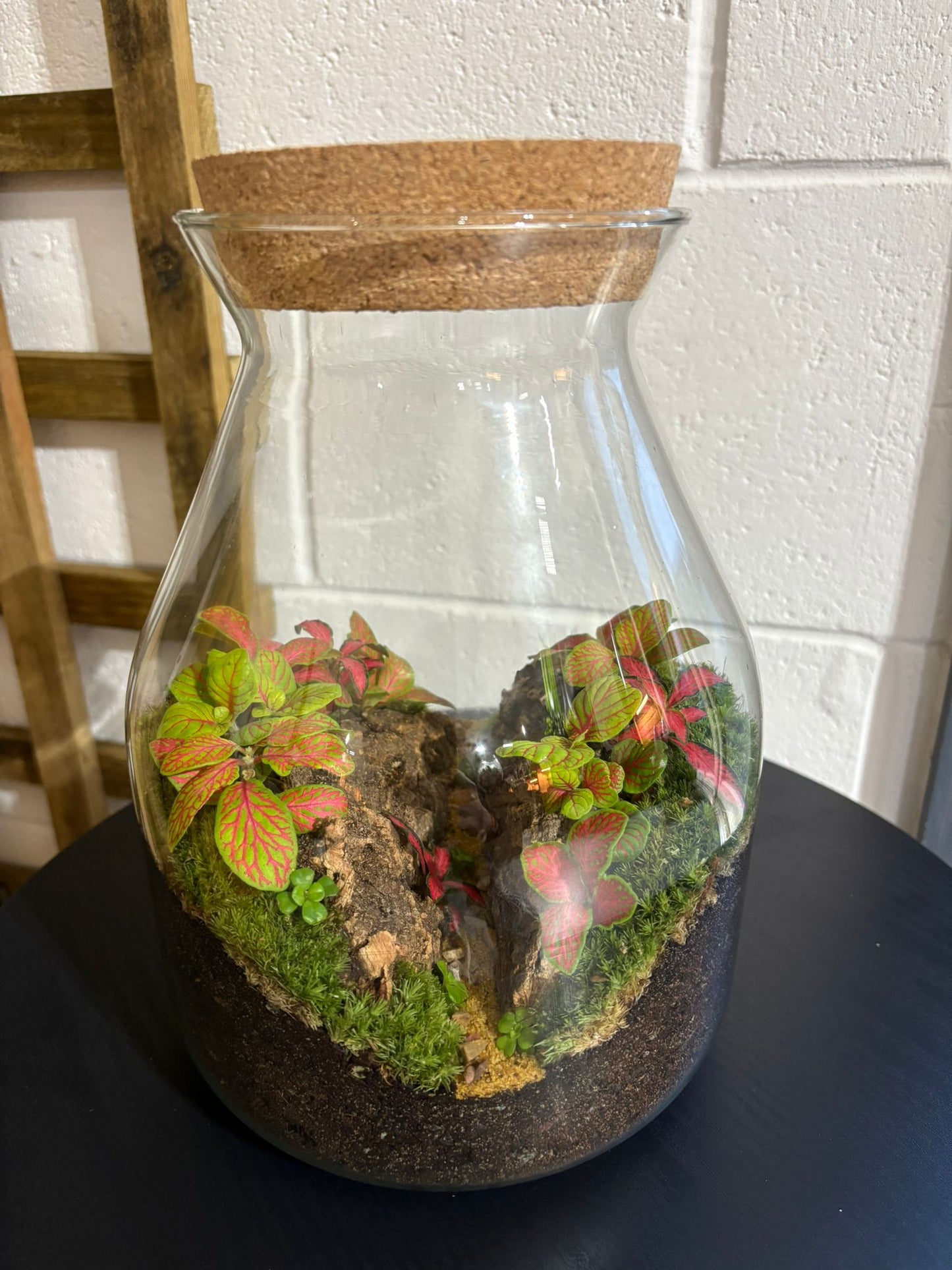 Ready-made Terrarium – Jamie Jar
