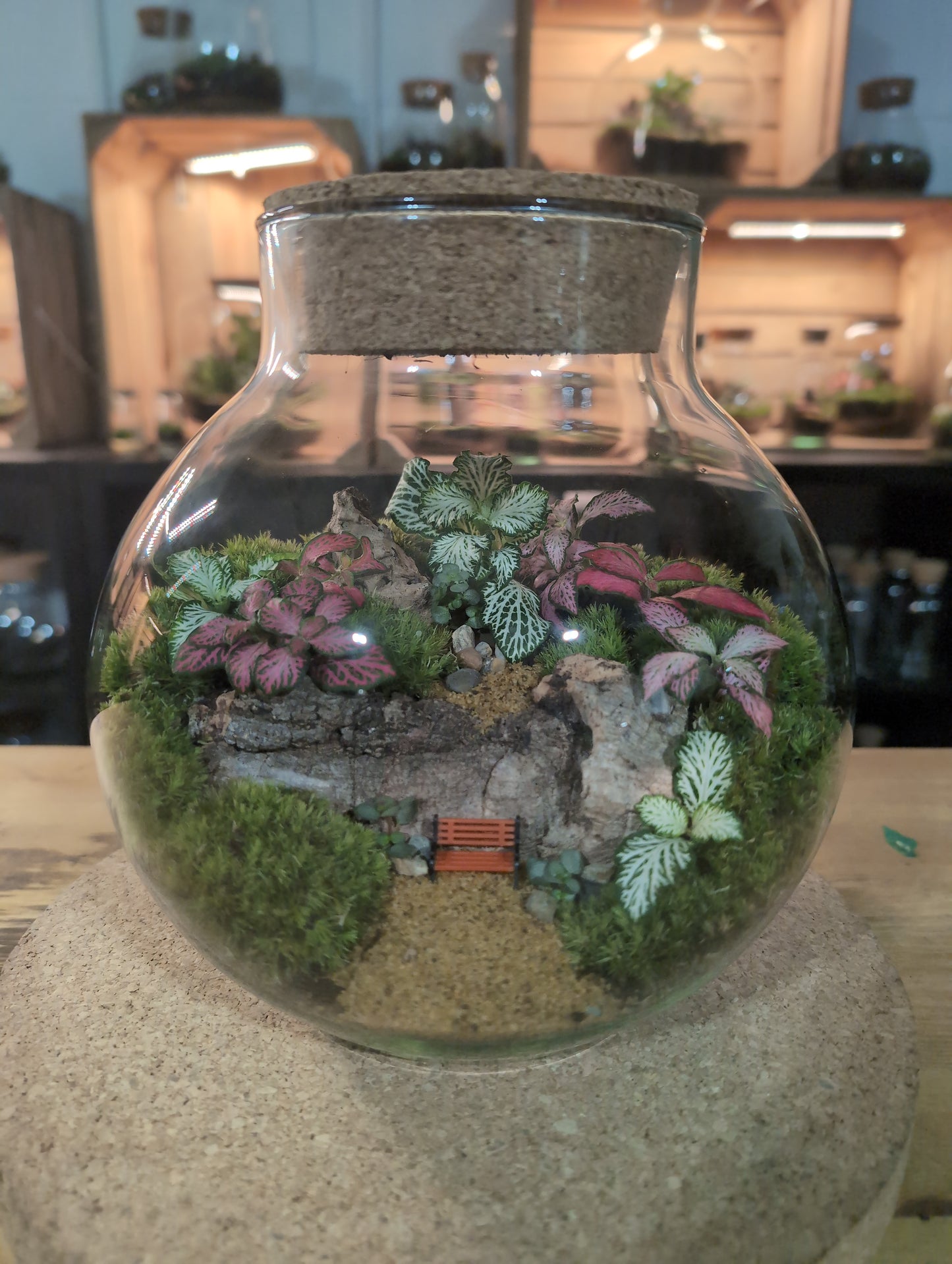 Ready-made Terrarium – George Jar
