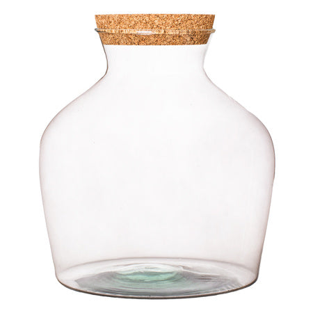 PREORDER - Ready-made Terrarium