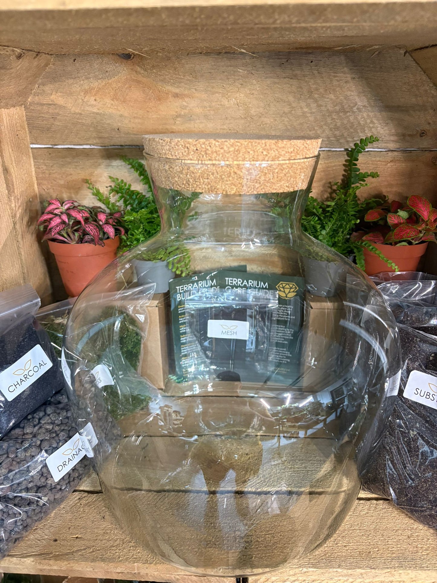 DIY Terrarium Kit - 'Matthew'