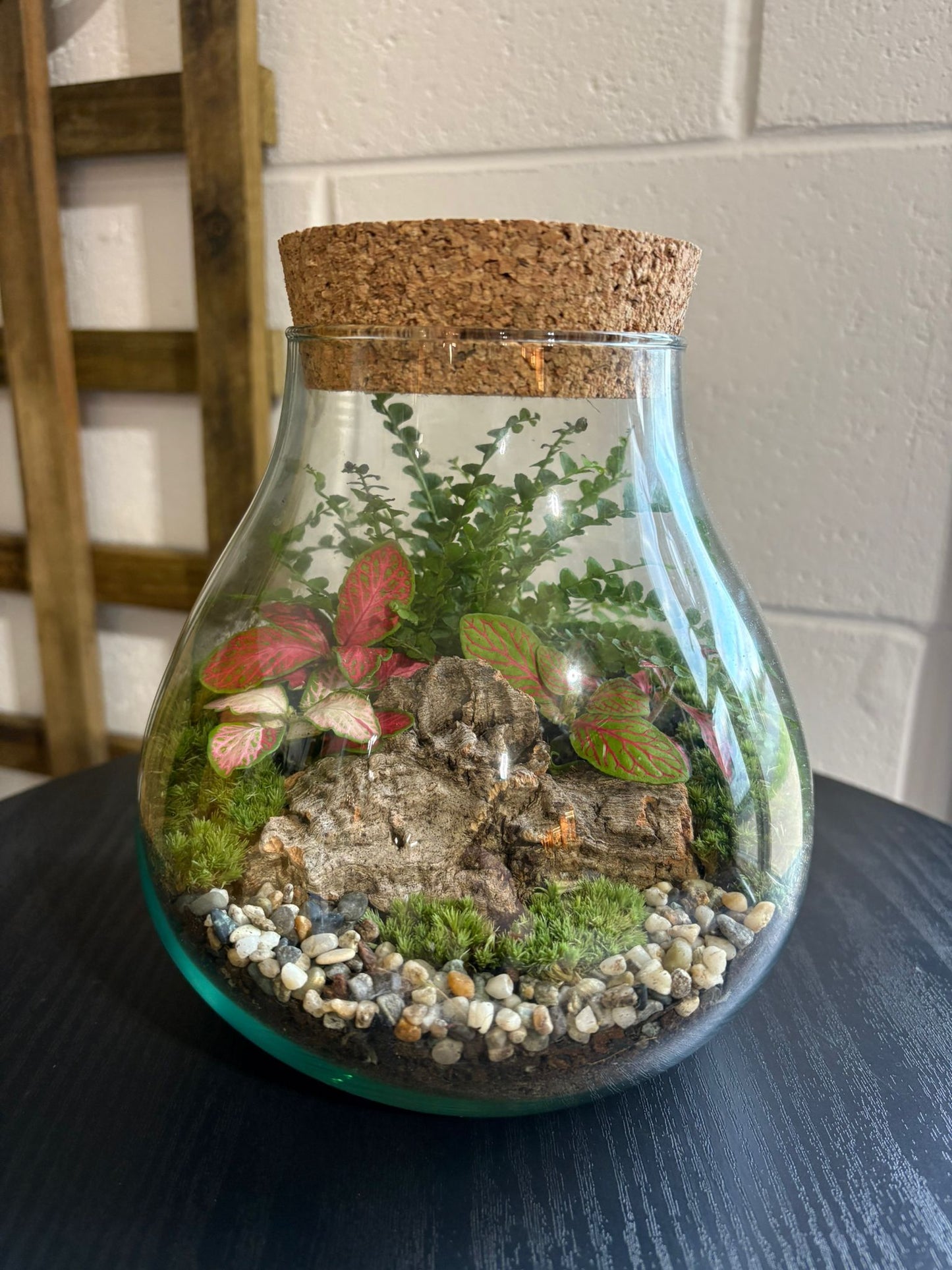 Ready-made Terrarium – Fran Jar