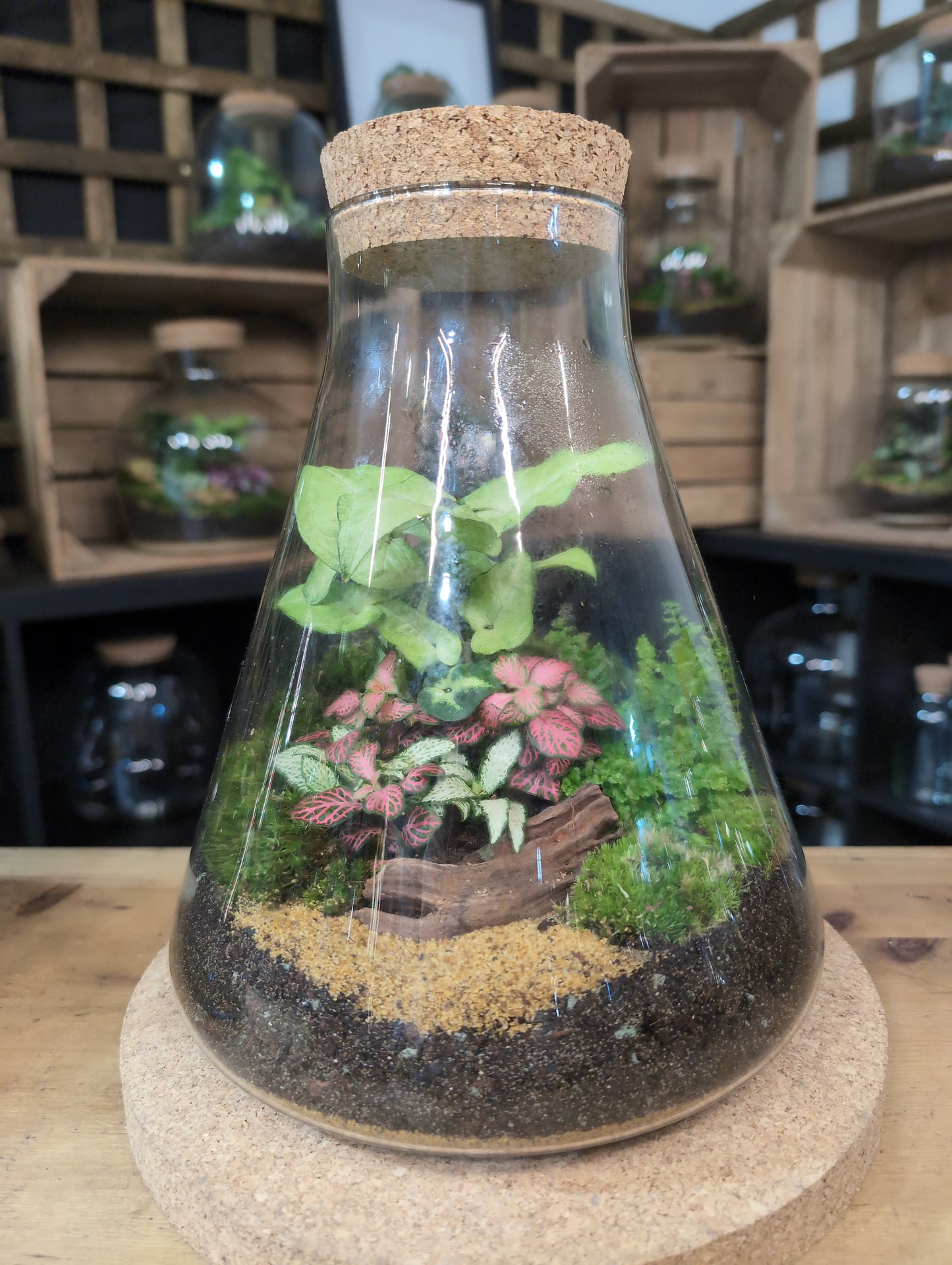 Ready-made Terrarium – Verity Jar