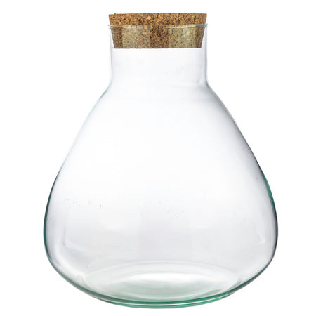 PREORDER - Ready-made Terrarium