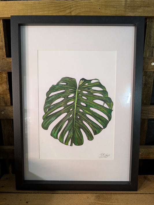 Limited Edition Monstera Print