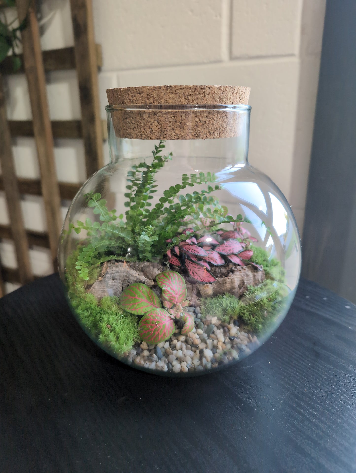 Ready-made Terrarium – George Jar