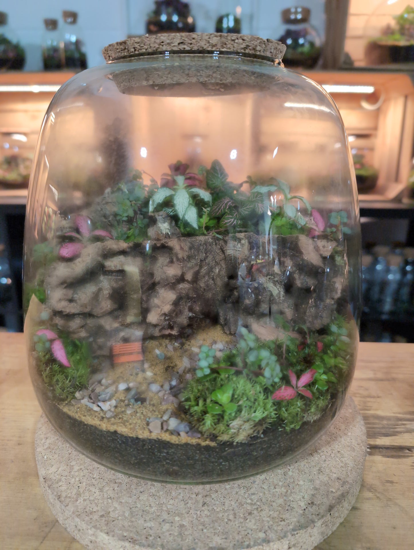 Ready-made Terrarium – Hannah Jar