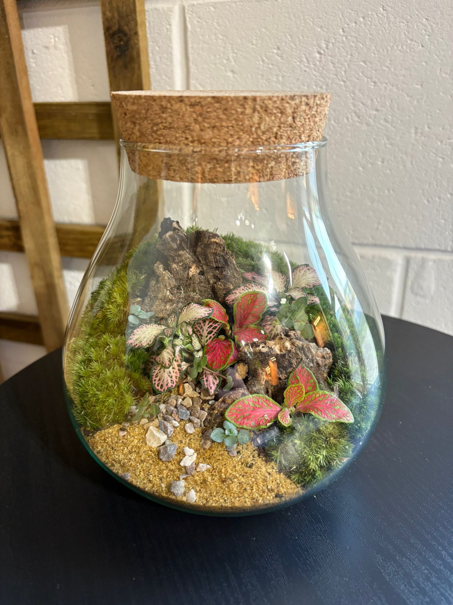 Ready-made Terrarium – Fran Jar