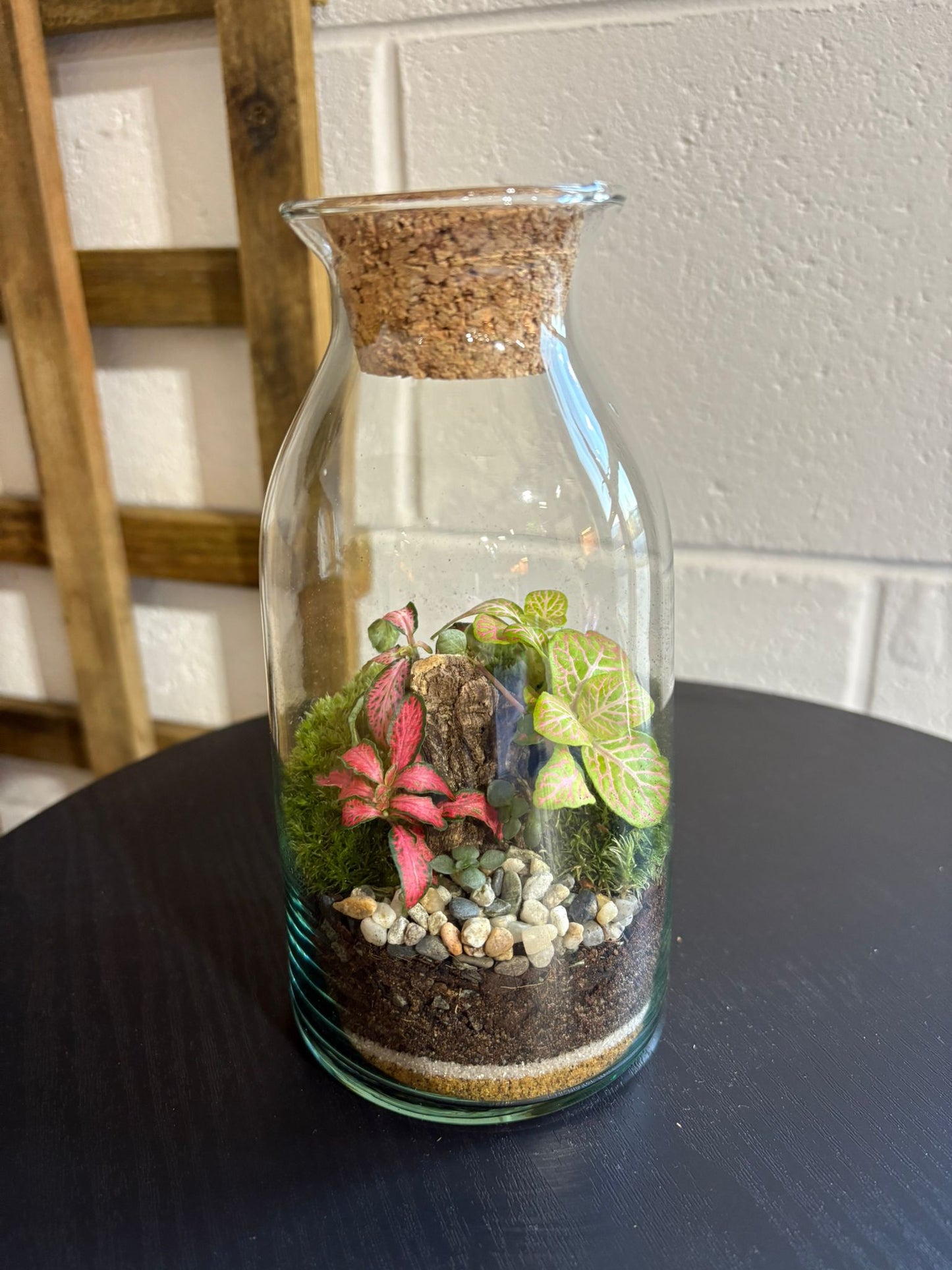 Ready-made Terrarium – Chloe Jar