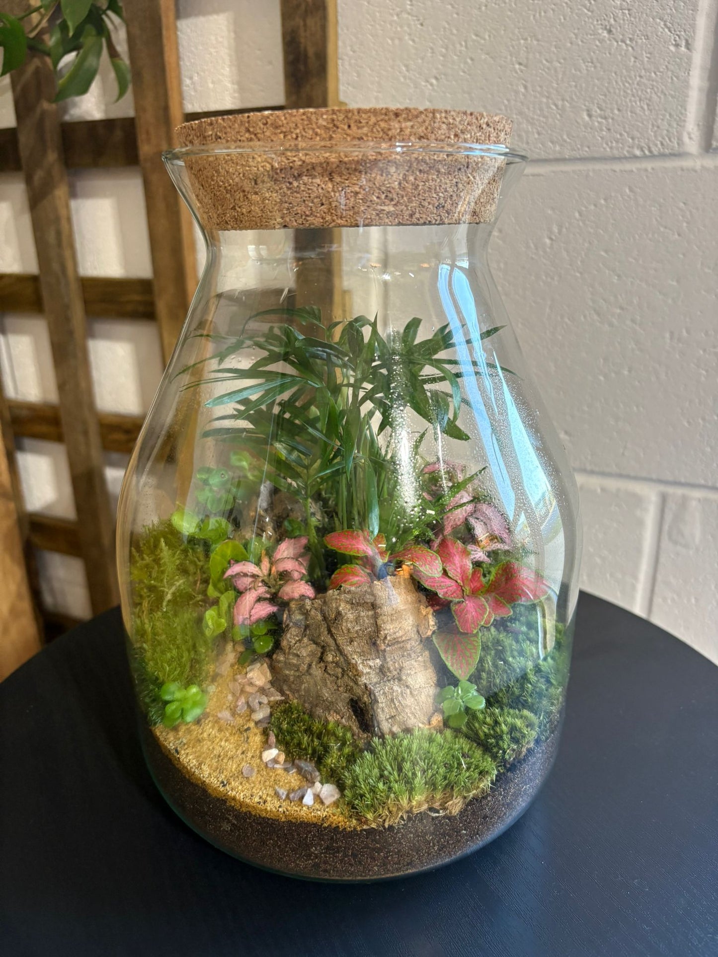 Ready-made Terrarium – Jamie Jar