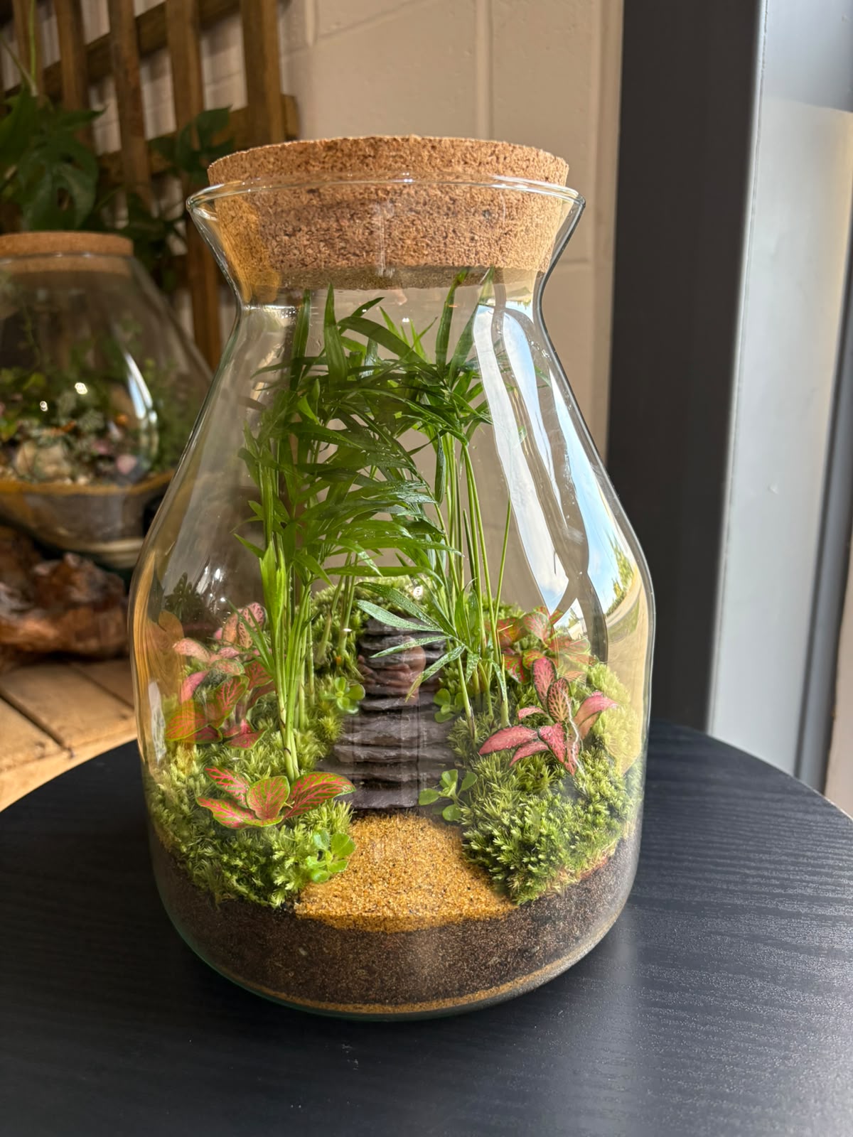 Ready-made Terrarium – Jamie Jar
