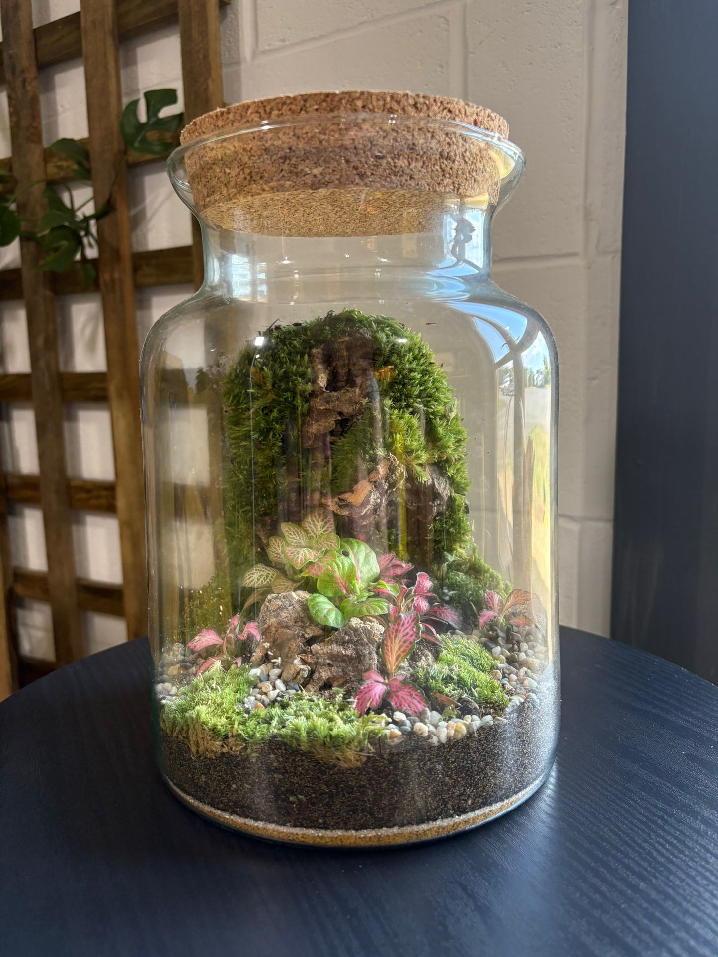 Ready-made Terrarium – Unique Jar