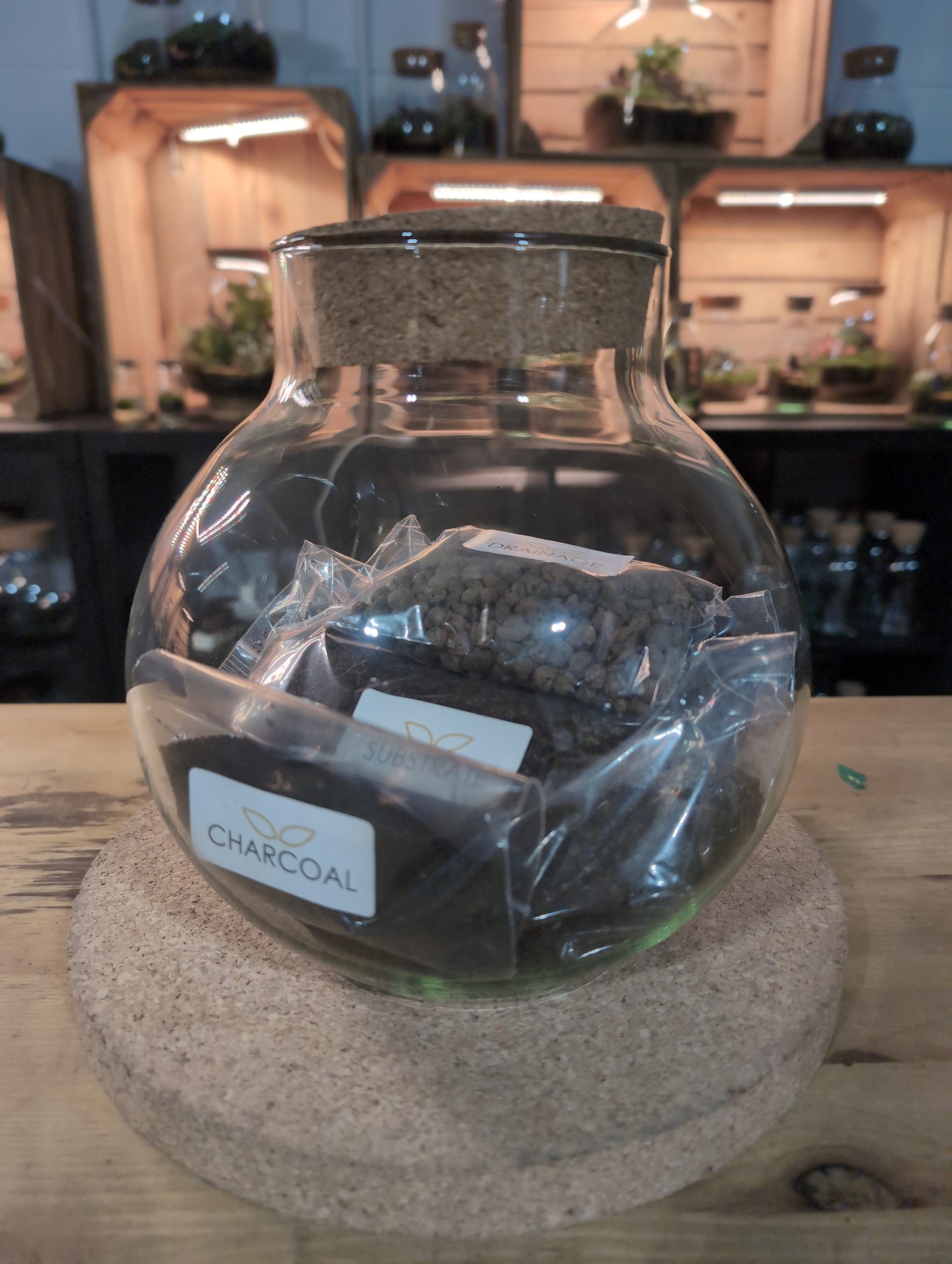Ready-made Terrarium – George Jar