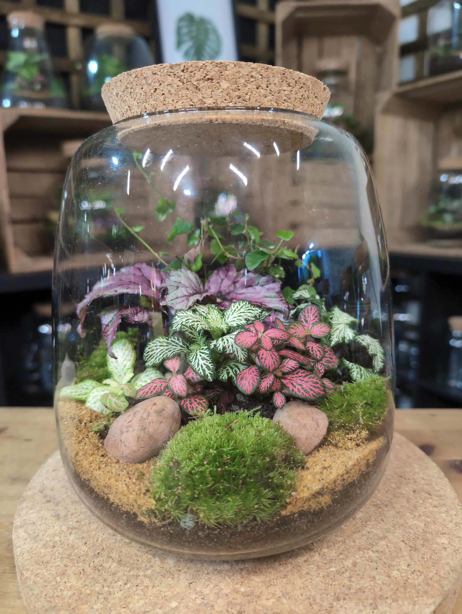 ready planted terrariums Ready-made Terrarium – Anna Jar – EcoTreasures