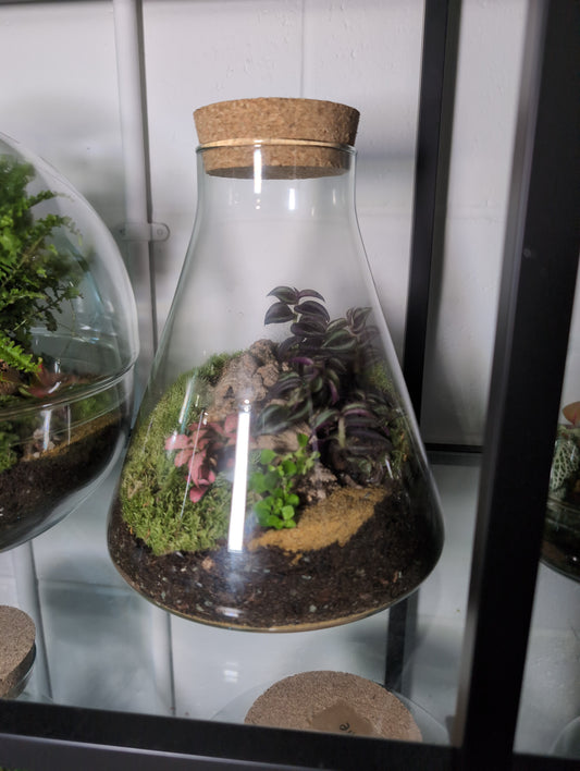 Valerie - Premade Terrarium