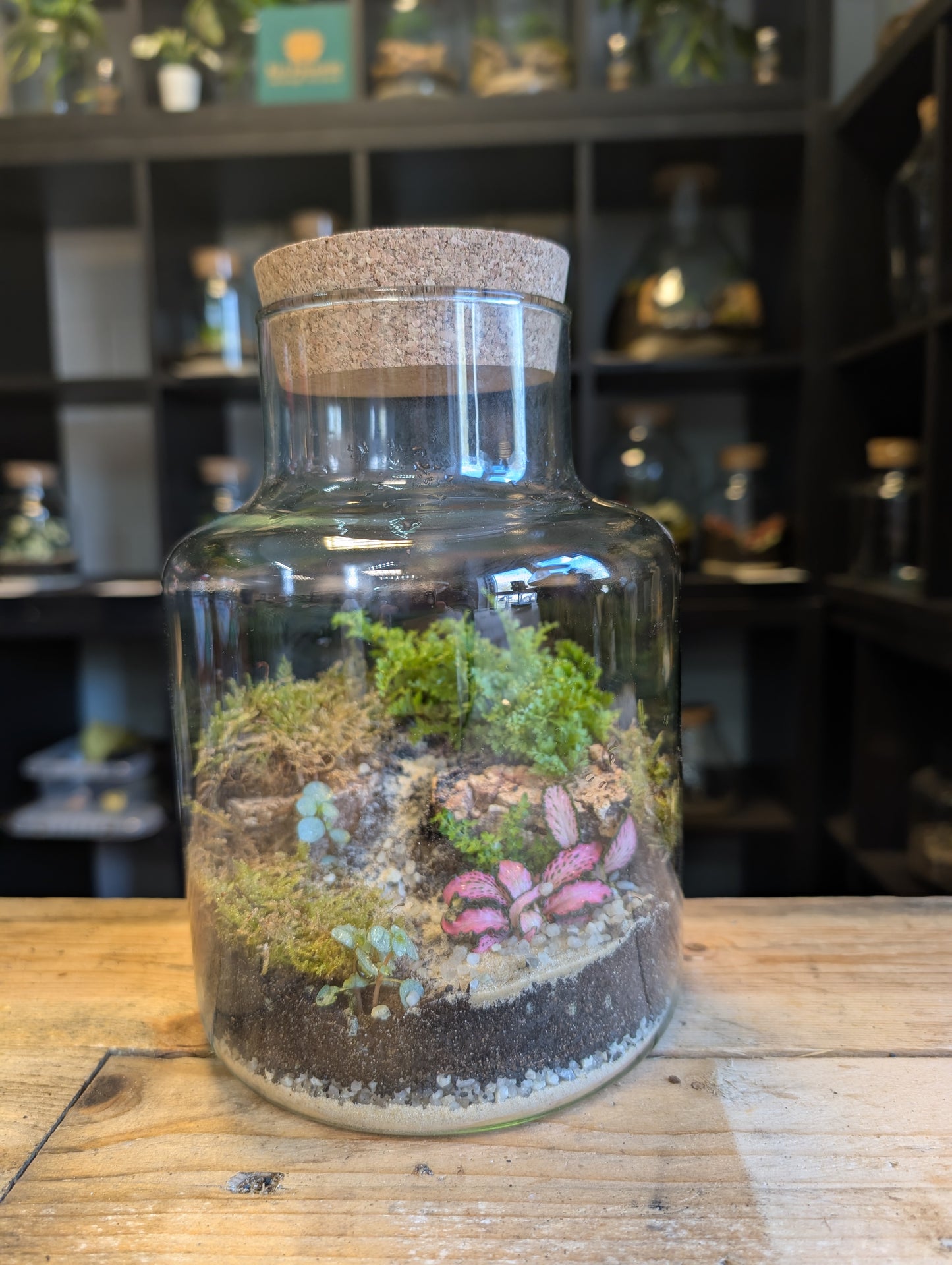 Ready-made Terrarium - 'Lily'