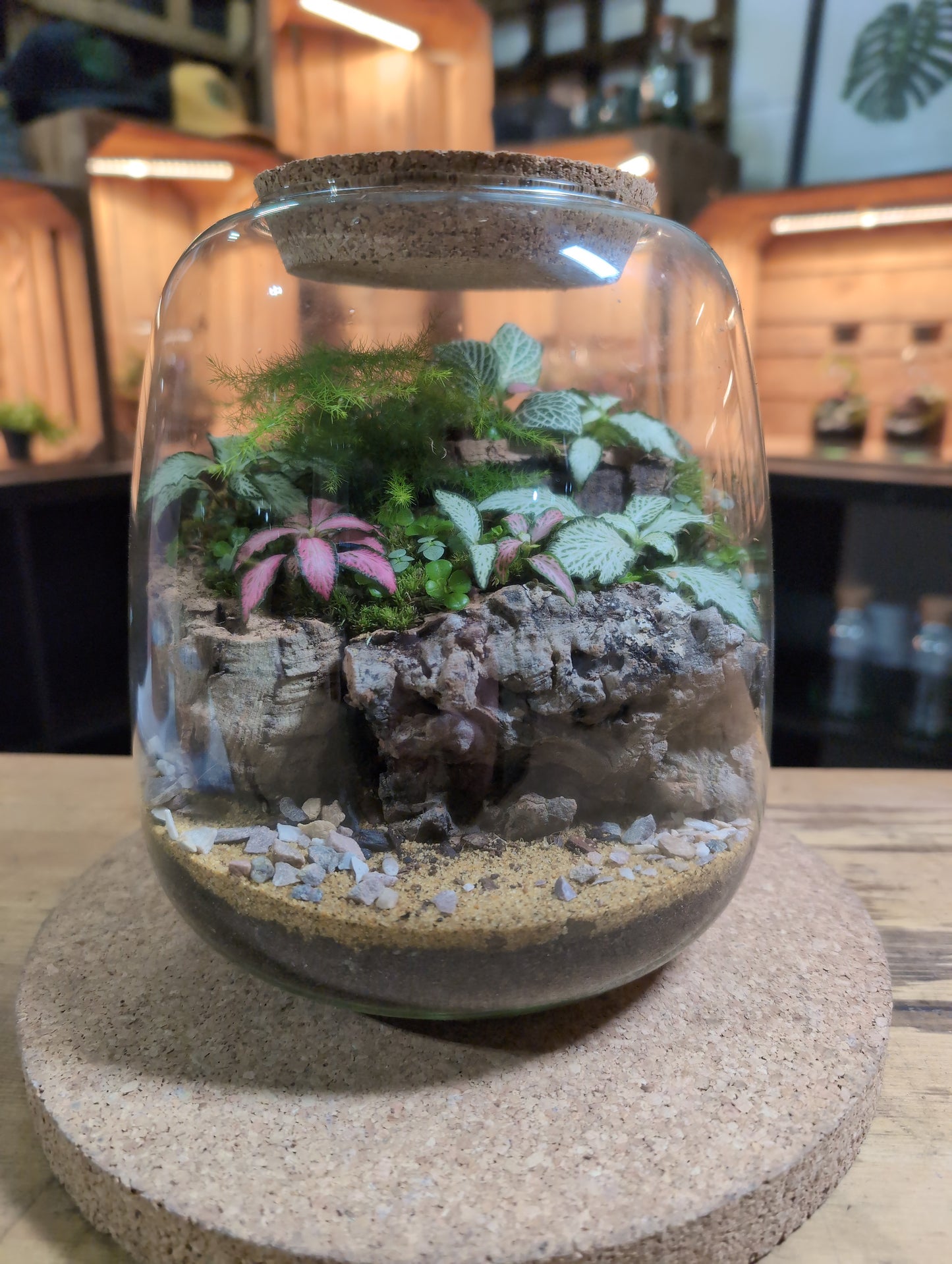 Ready-made Terrarium – Anna Jar