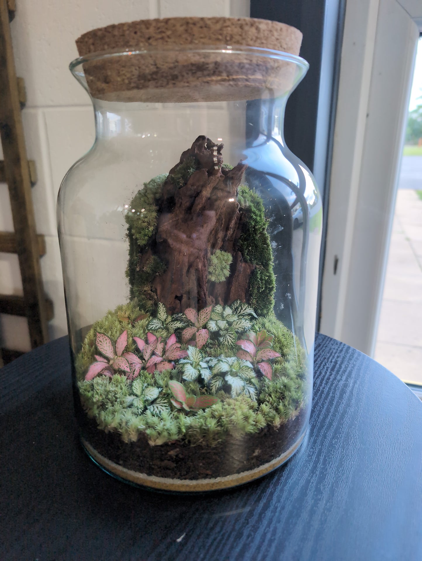 Ready-made Terrarium – Unique Jar