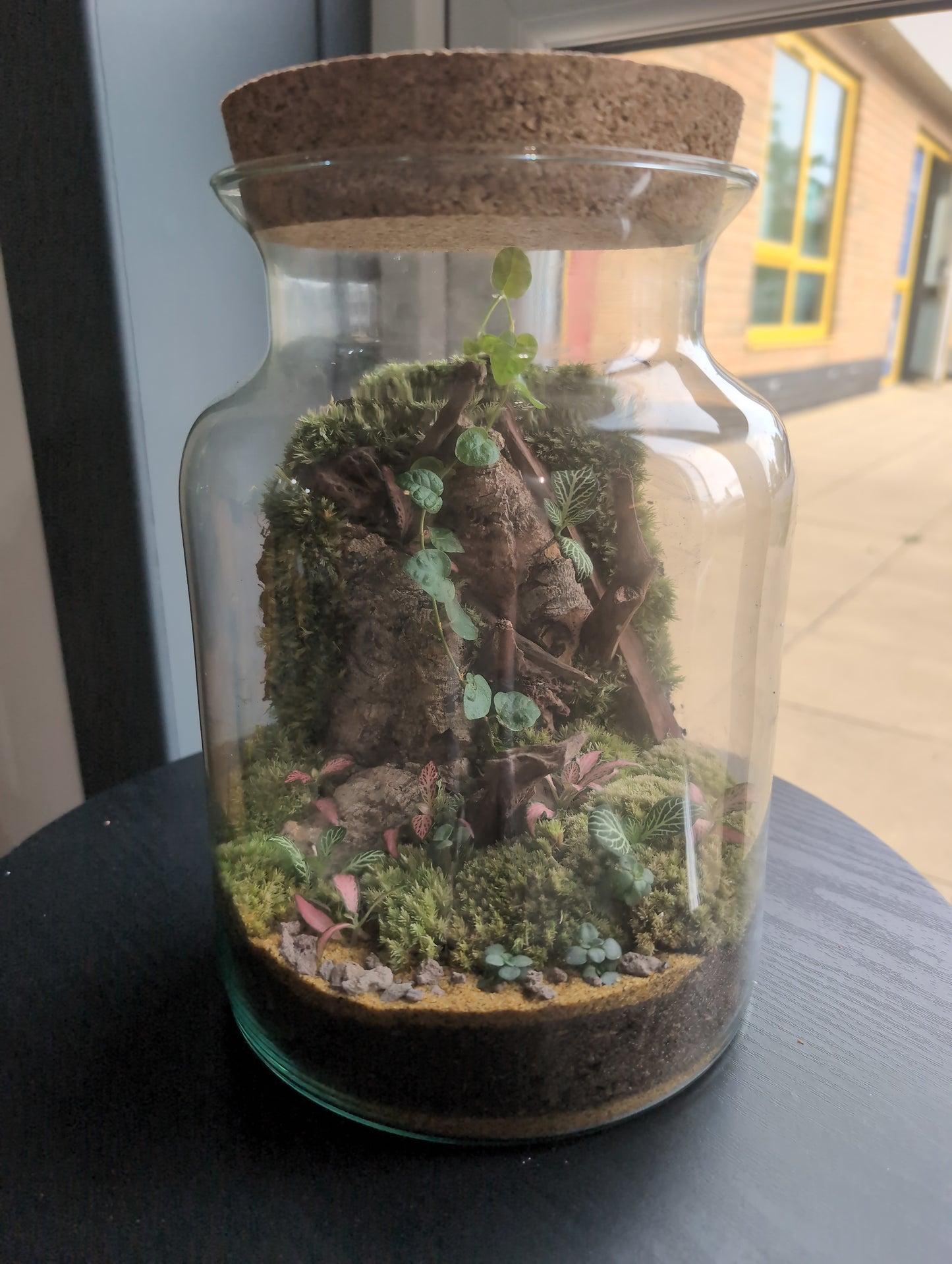 Ready-made Terrarium – Unique Jar