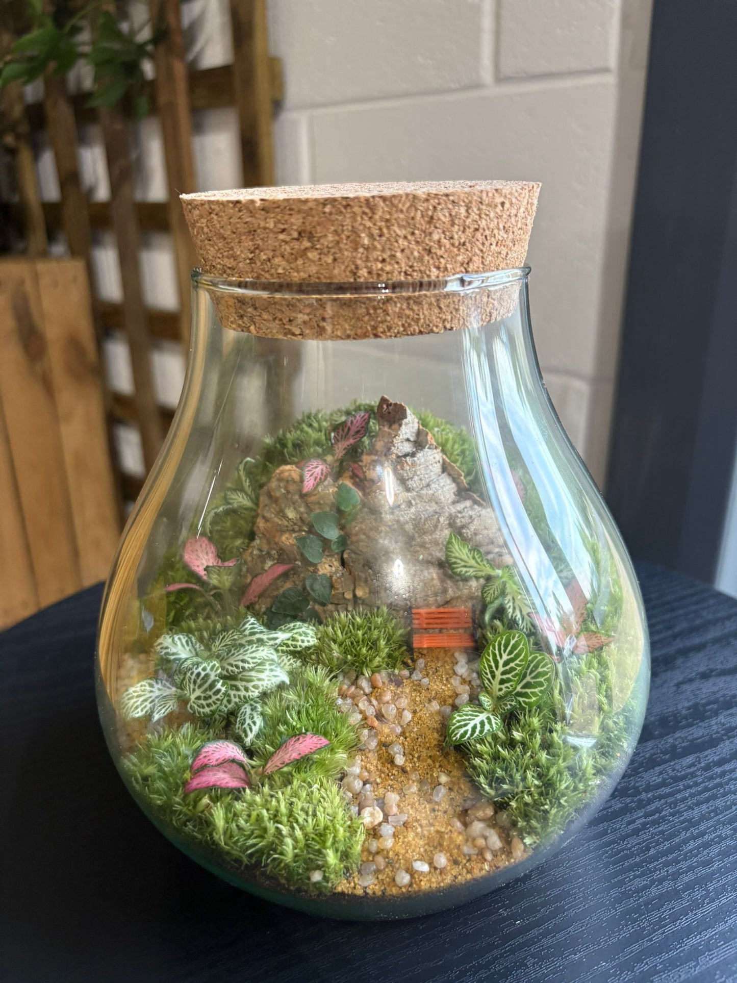 Ready-made Terrarium – Fran Jar