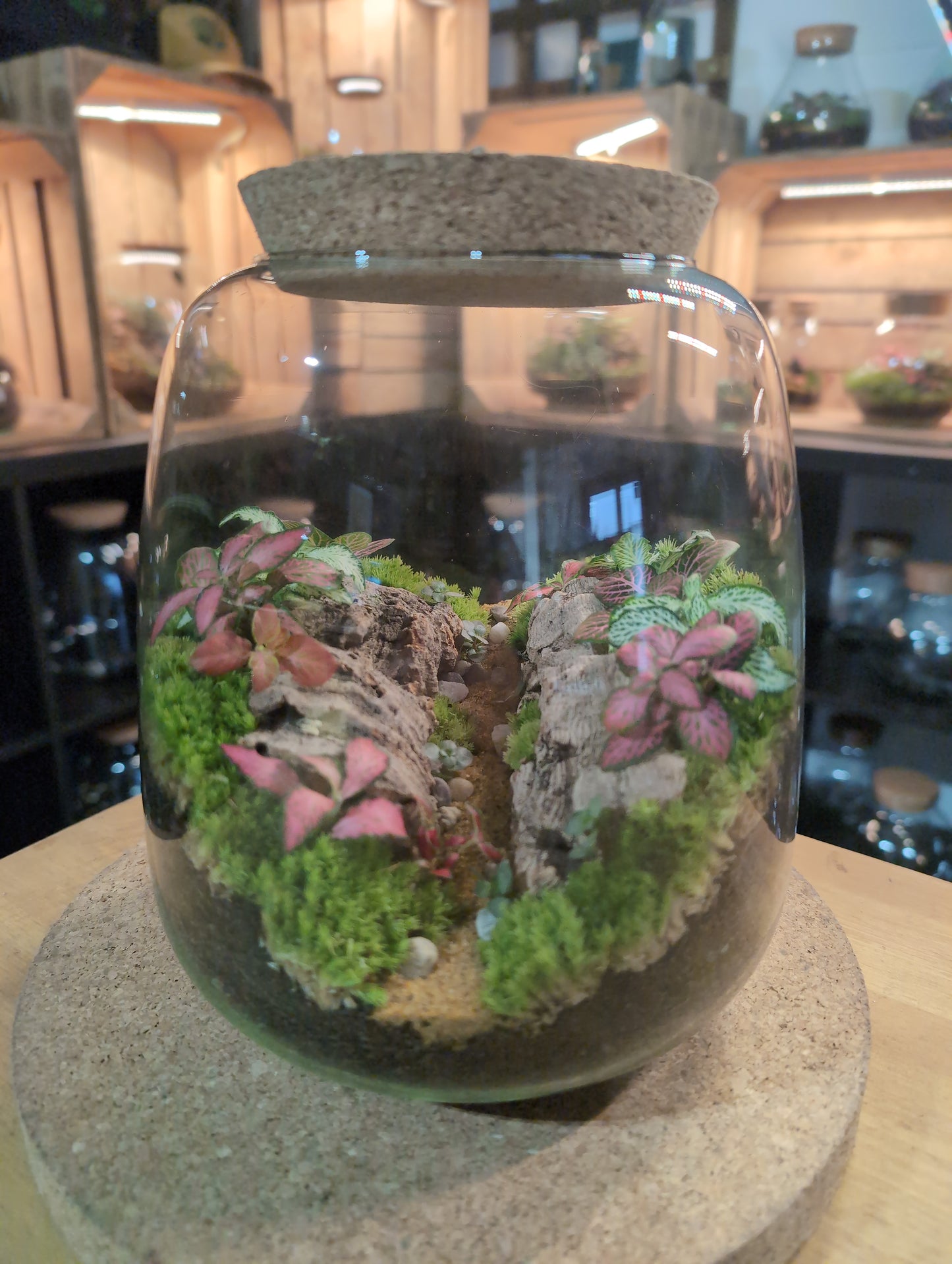 Ready-made Terrarium – Anna Jar