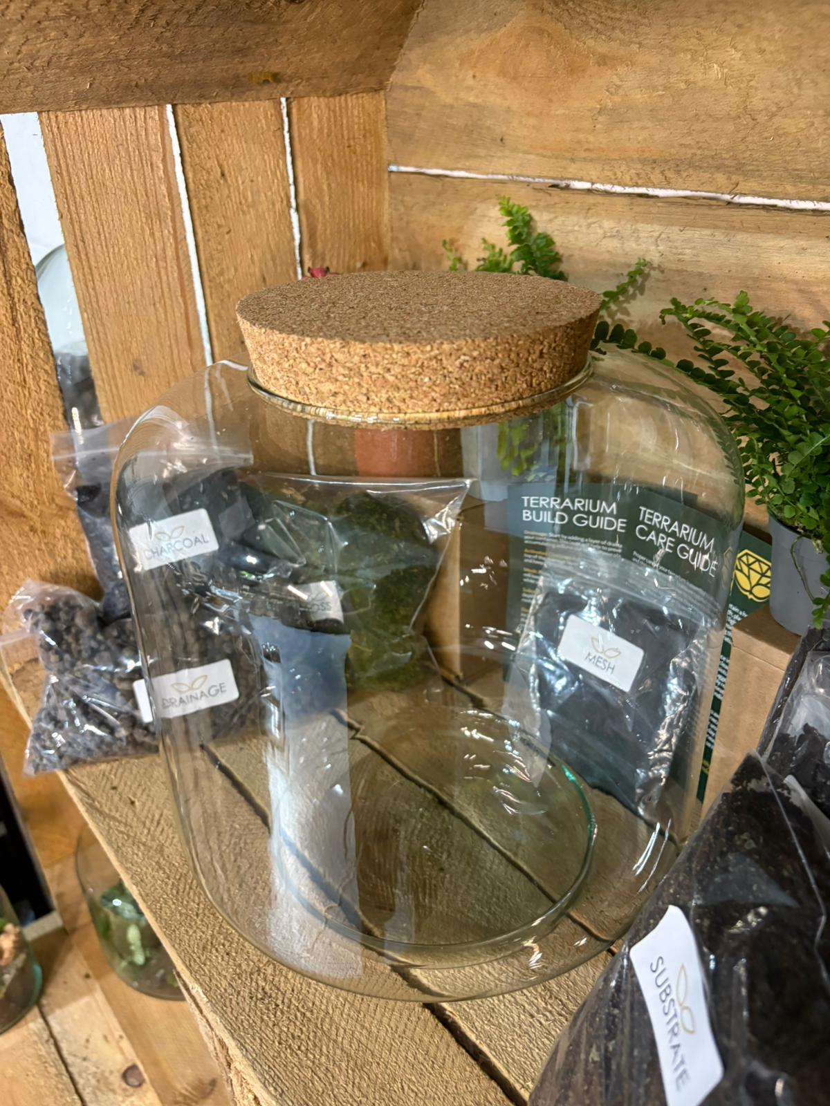 DIY Terrarium Kit - 'Meg'
