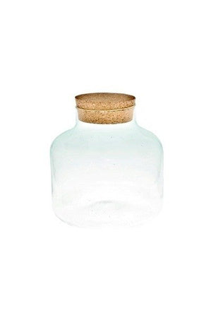 PREORDER - Ready-made Terrarium