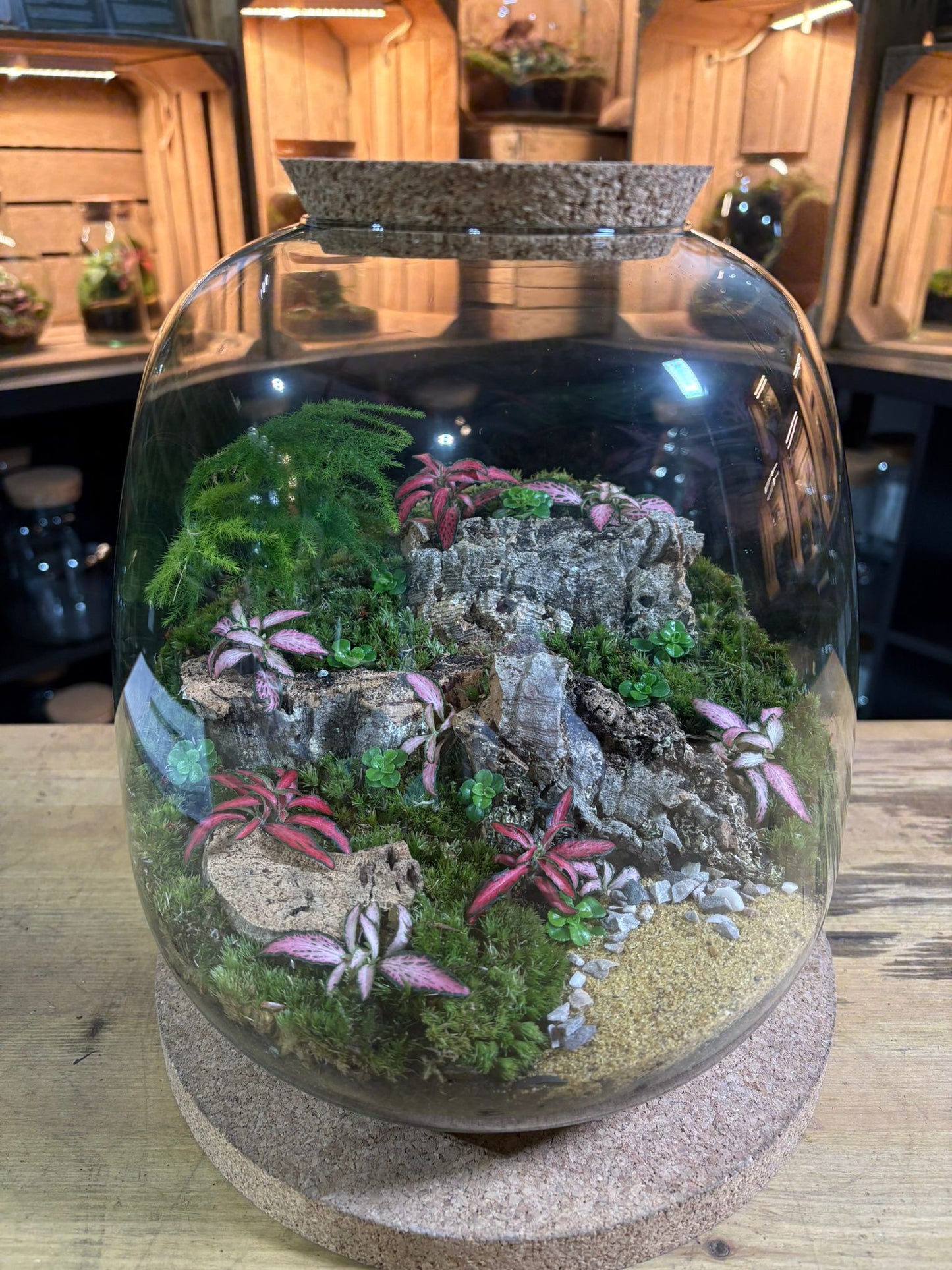 Ready-made Terrarium – Hannah Jar
