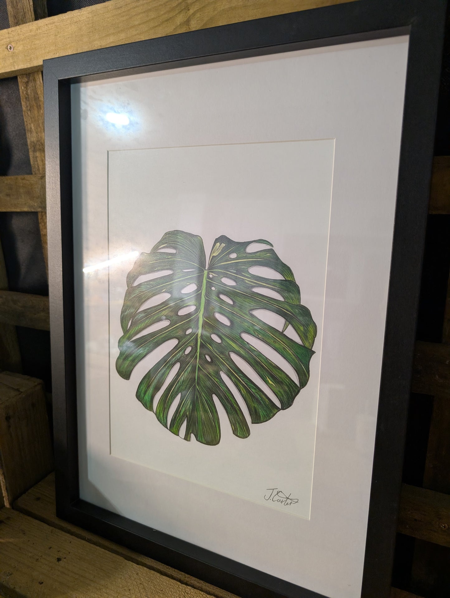 Limited Edition Monstera Print