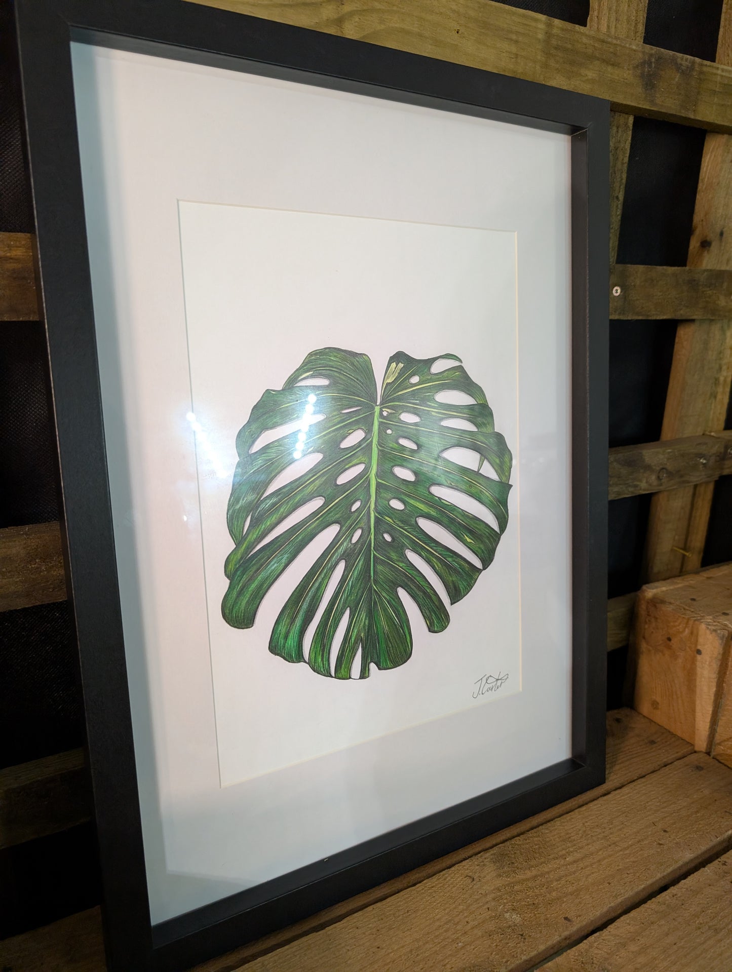 Limited Edition Monstera Print