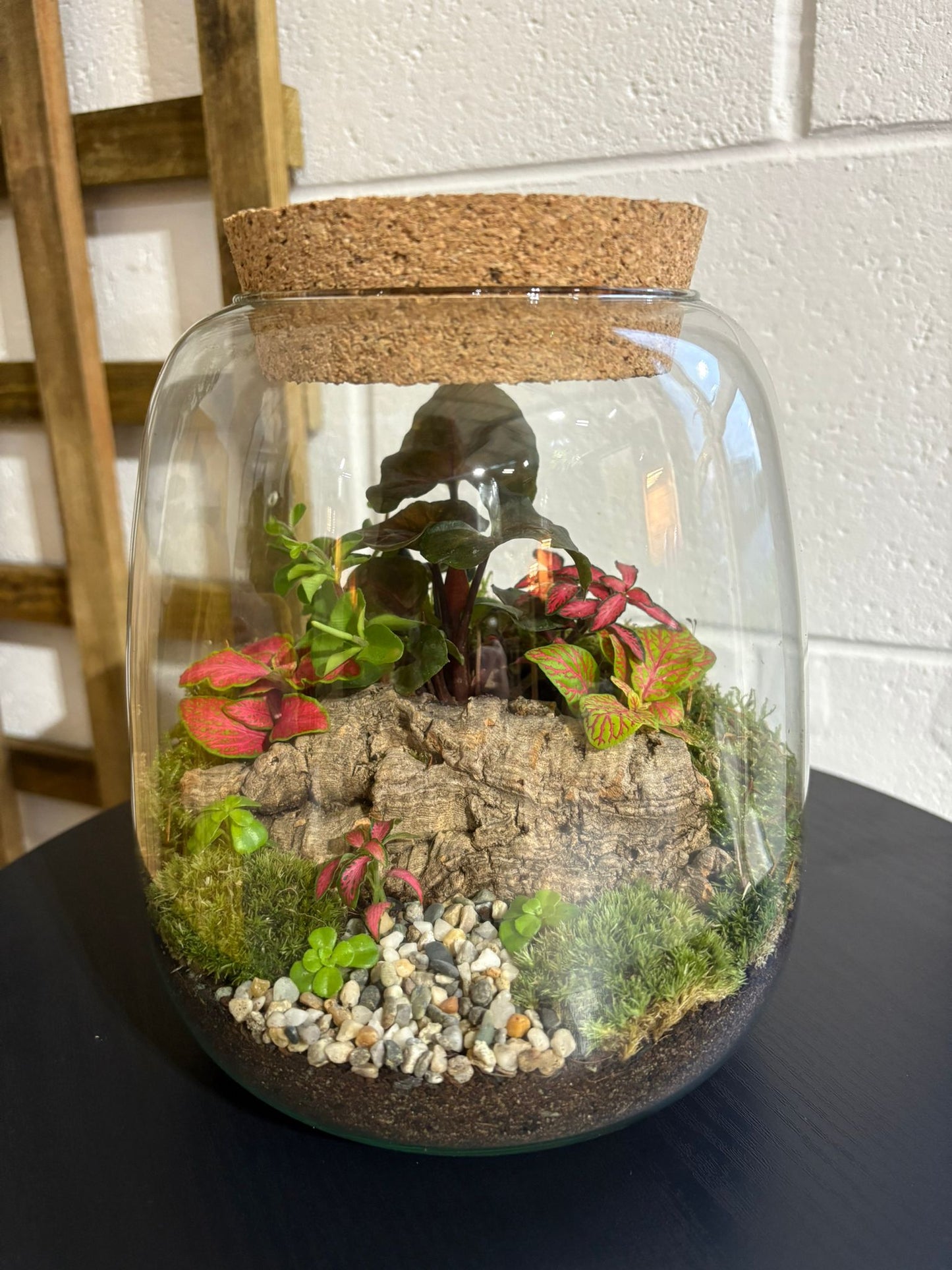 Ready-made Terrarium – Anna Jar
