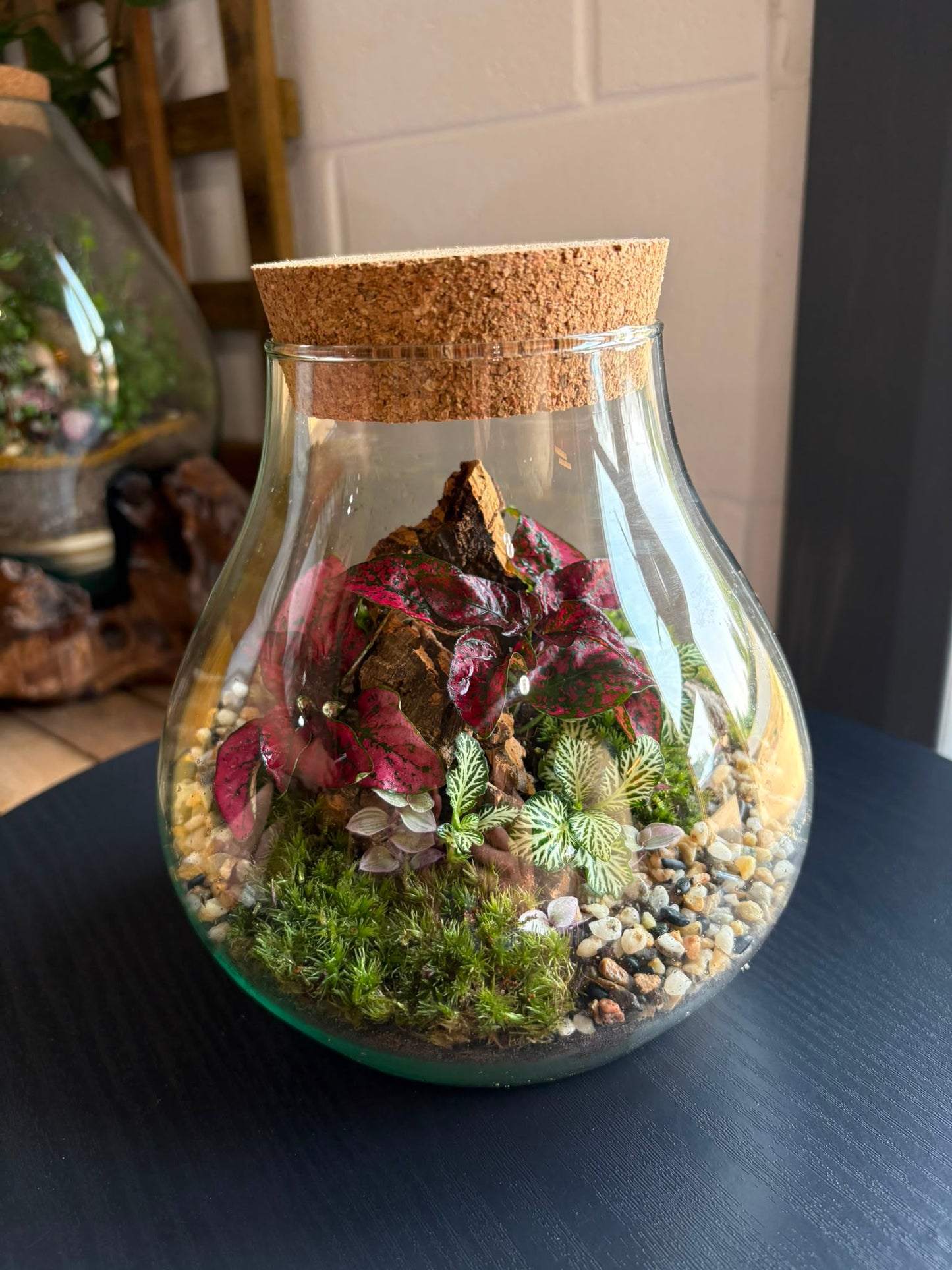 Ready-made Terrarium – Fran Jar