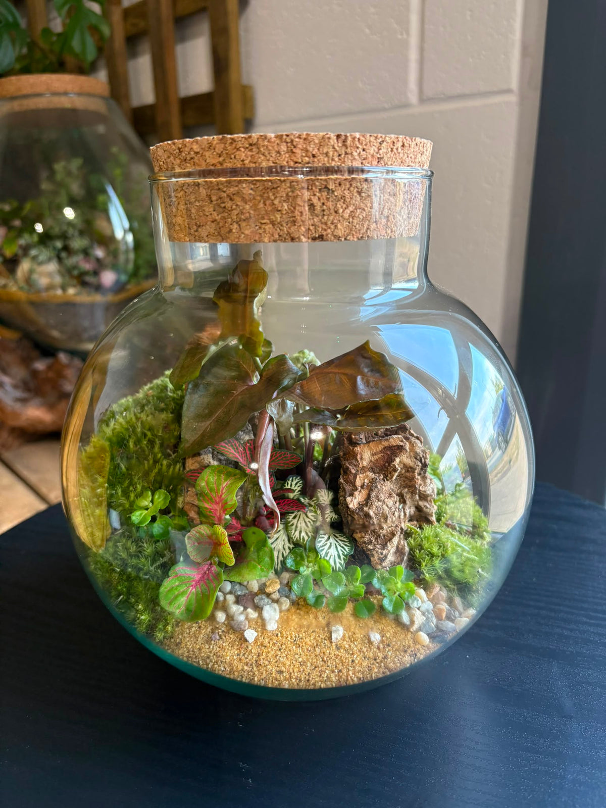 Ready-made Terrarium – George Jar