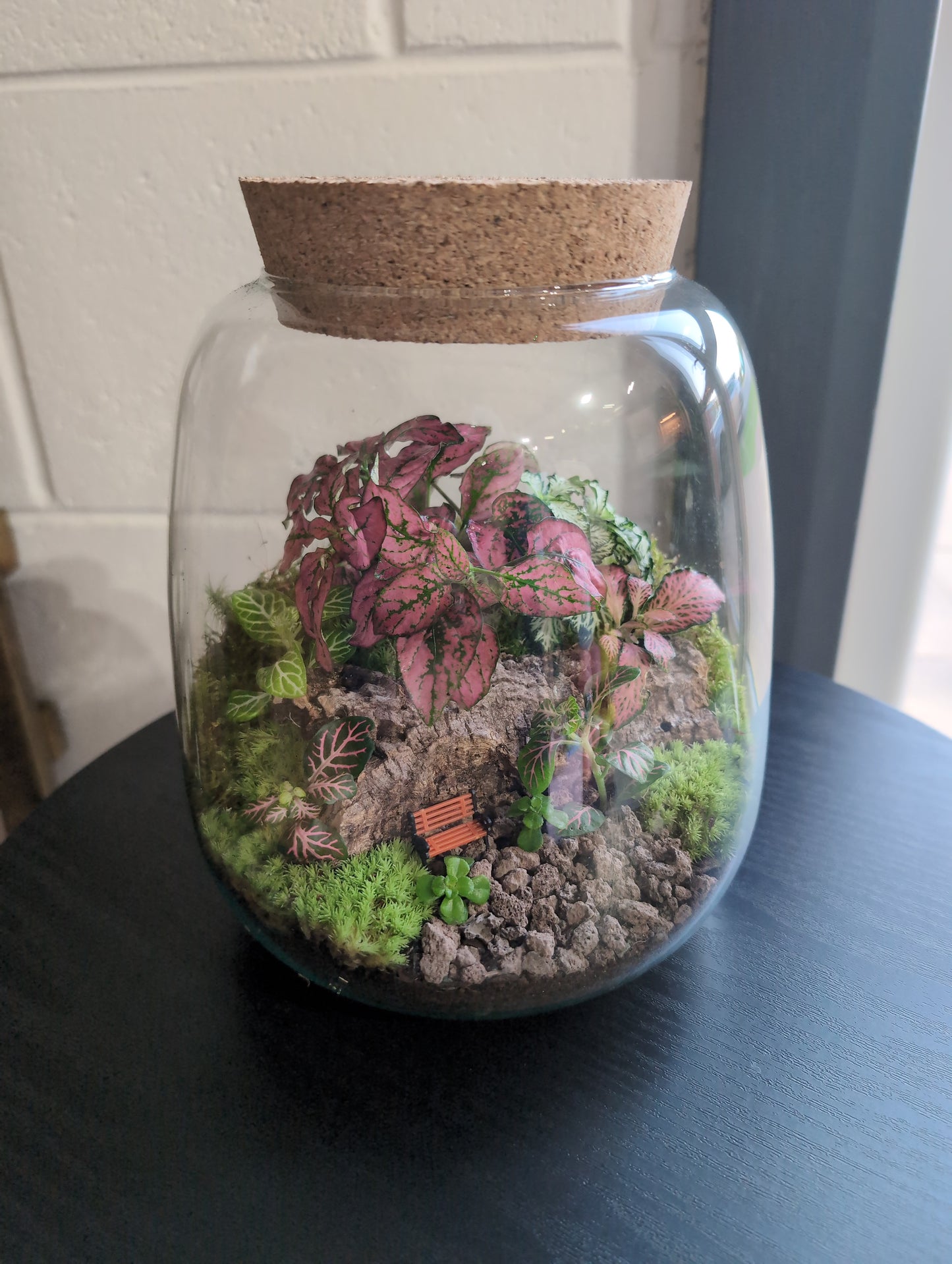 Ready-made Terrarium – Anna Jar