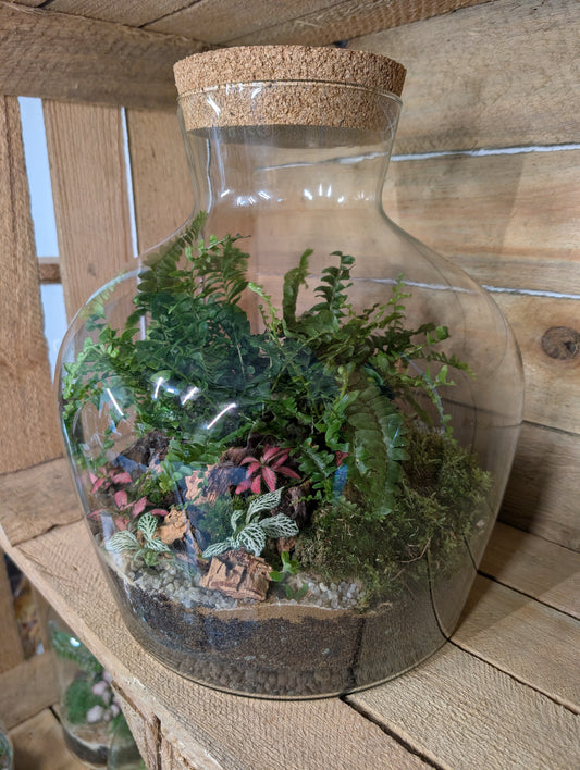 Ready-made Terrarium - 'Matthew'
